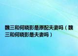 魏三和何曉影是原配夫妻嗎（魏三和何曉影是夫妻嗎）