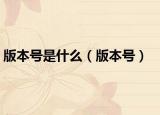 版本號(hào)是什么（版本號(hào)）