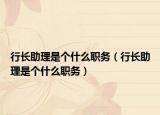 行長助理是個什么職務(wù)（行長助理是個什么職務(wù)）