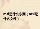 msi是什么東西（msi是什么文件）