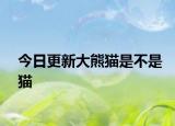 今日更新大熊貓是不是貓