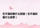 生不逢時是什么短語（生不逢時是什么意思）