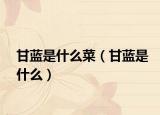 甘藍(lán)是什么菜（甘藍(lán)是什么）