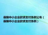 保障中小企業(yè)款項支付條例公布（保障中小企業(yè)款項支付條例）
