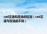 cad正選和反選的區(qū)別（cad正選與反選的不同）