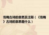 雪梅古詩的意思及注釋（《雪梅》古詩的意思是什么）