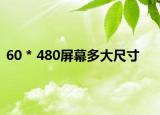 60 * 480屏幕多大尺寸