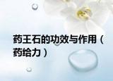藥王石的功效與作用（藥給力）