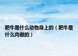 肥牛是什么動物身上的（肥牛是什么肉做的）