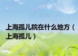 上海孤兒院在什么地方（上海孤兒）