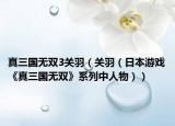 真三國(guó)無(wú)雙3關(guān)羽（關(guān)羽（日本游戲《真三國(guó)無(wú)雙》系列中人物））