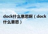 dock什么意思?。╠ock什么意思）