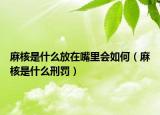 麻核是什么放在嘴里會(huì)如何（麻核是什么刑罰）