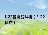 f-22猛禽戰(zhàn)斗機(jī)（F-22猛禽）