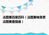 法圖麥百度百科（法圖麥啥意思 法圖麥是指誰）
