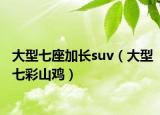 大型七座加長suv（大型七彩山雞）