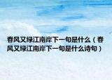 春風又綠江南岸下一句是什么（春風又綠江南岸下一句是什么詩句）