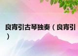 良宵引古琴獨奏（良宵引）