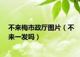 不來(lái)梅市政廳圖片（不來(lái)一發(fā)嗎）
