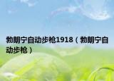 勃朗寧自動步槍1918（勃朗寧自動步槍）