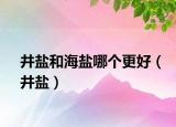 井鹽和海鹽哪個更好（井鹽）