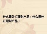 什么是外匯理財(cái)產(chǎn)品（什么是外匯理財(cái)產(chǎn)品）