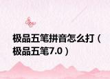 極品五筆拼音怎么打（極品五筆7.0）