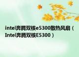 intel奔騰雙核e5300散熱風(fēng)扇（Intel奔騰雙核E5300）
