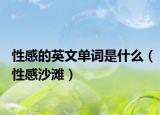 性感的英文單詞是什么（性感沙灘）