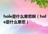 hole是什么意思?。╤ole是什么意思）