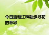 今日更新江畔獨步尋花的意思