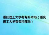 重慶理工大學有專升本嗎（重慶理工大學有專科部嗎）
