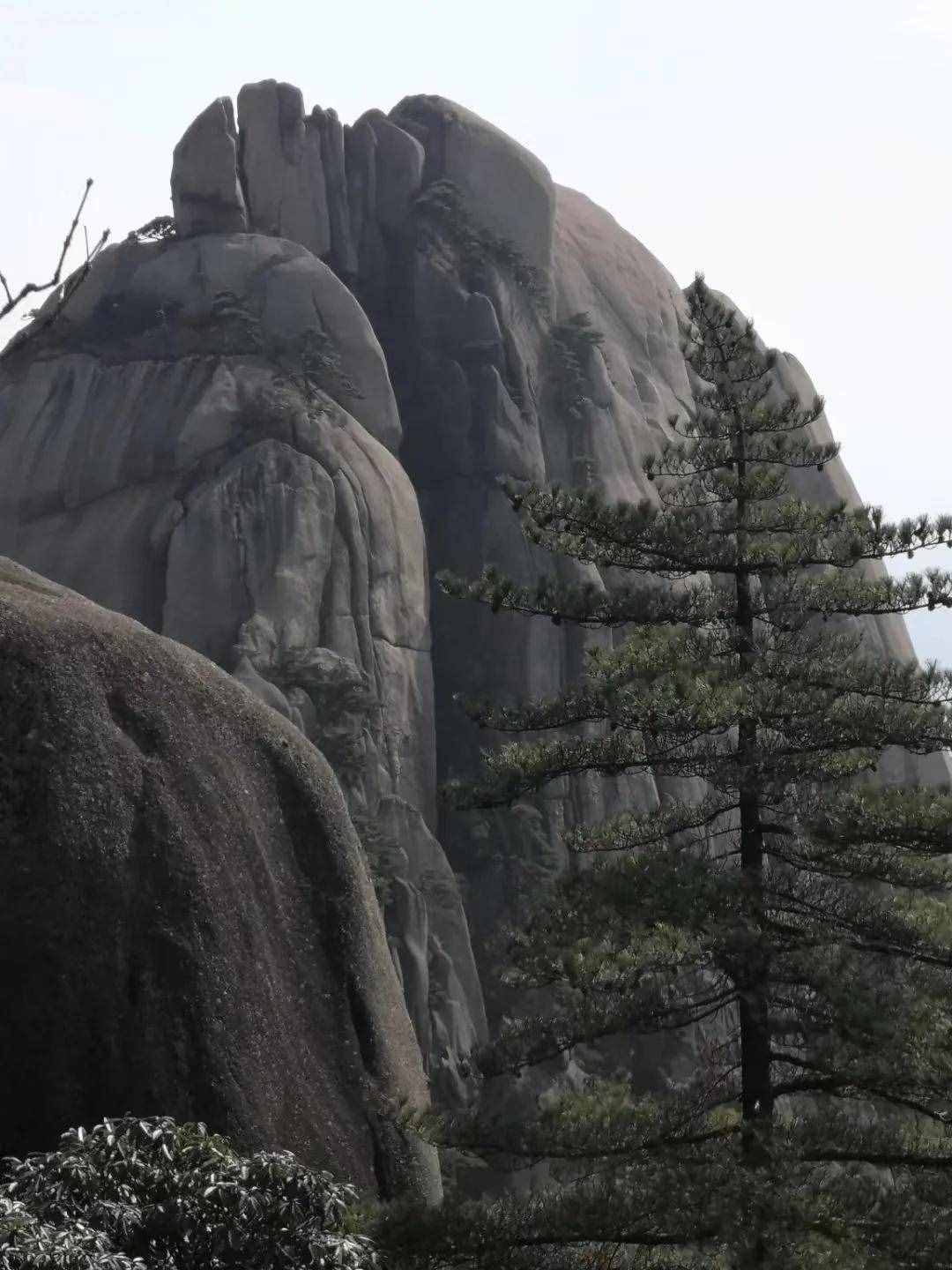 大美黃山奇松怪石