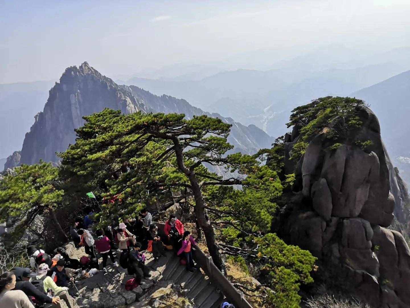 大美黃山奇松怪石