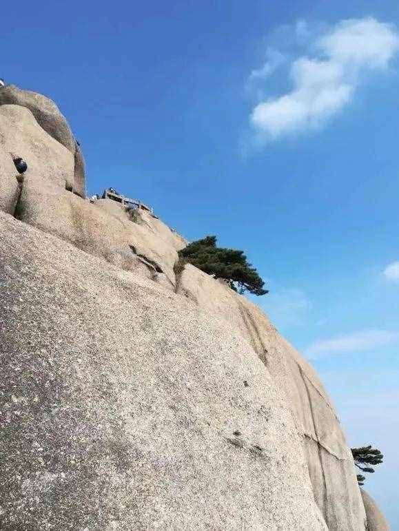 大美黃山奇松怪石
