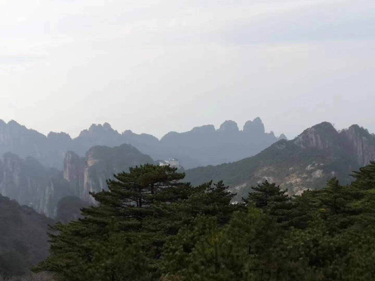 大美黃山奇松怪石