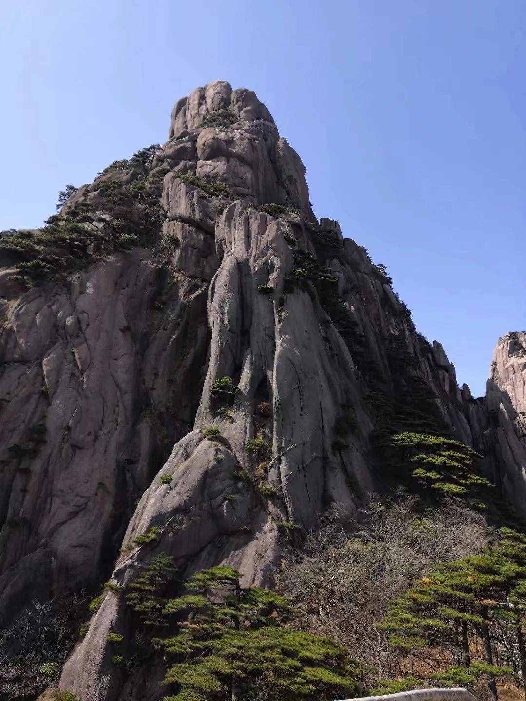 大美黃山奇松怪石