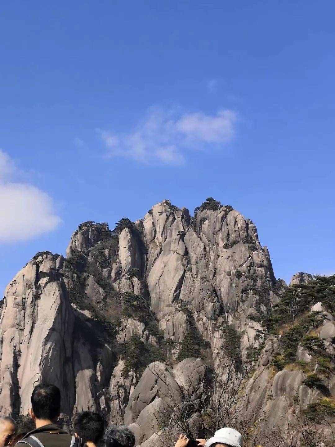 大美黃山奇松怪石