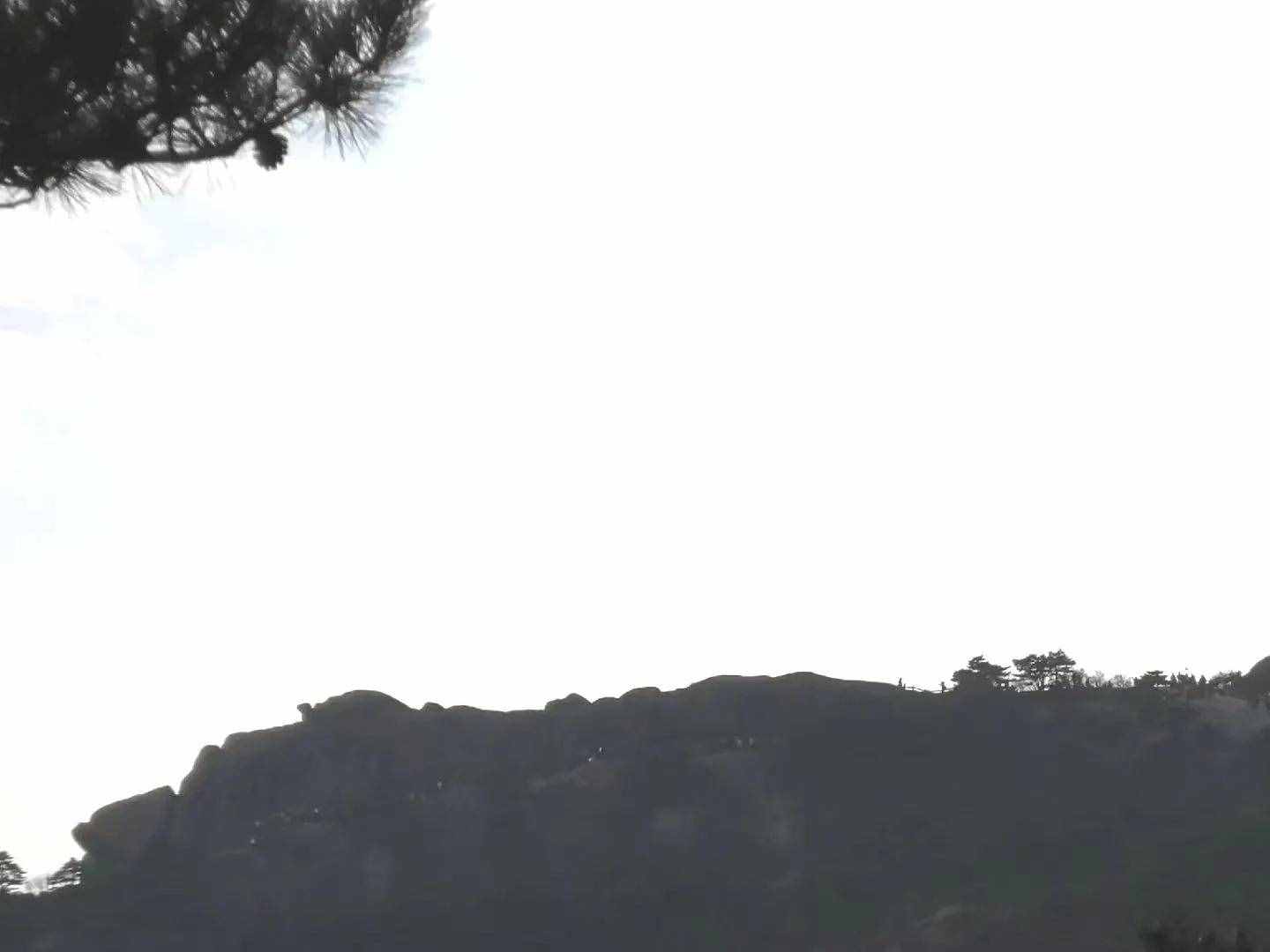 大美黃山奇松怪石