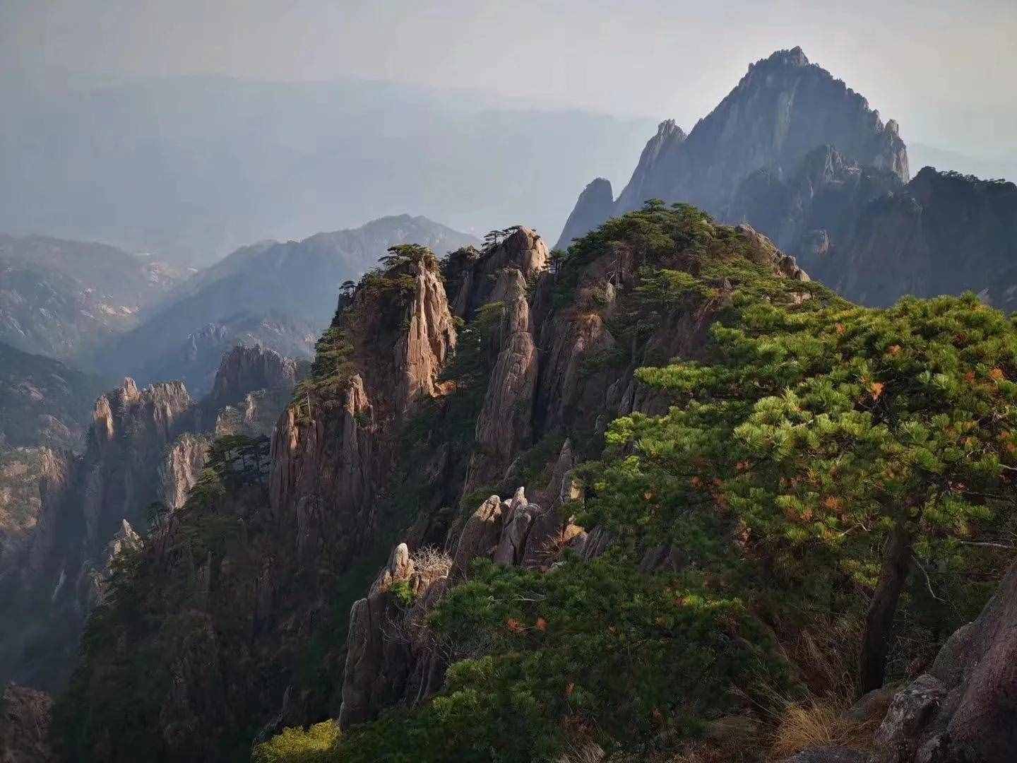 大美黃山奇松怪石
