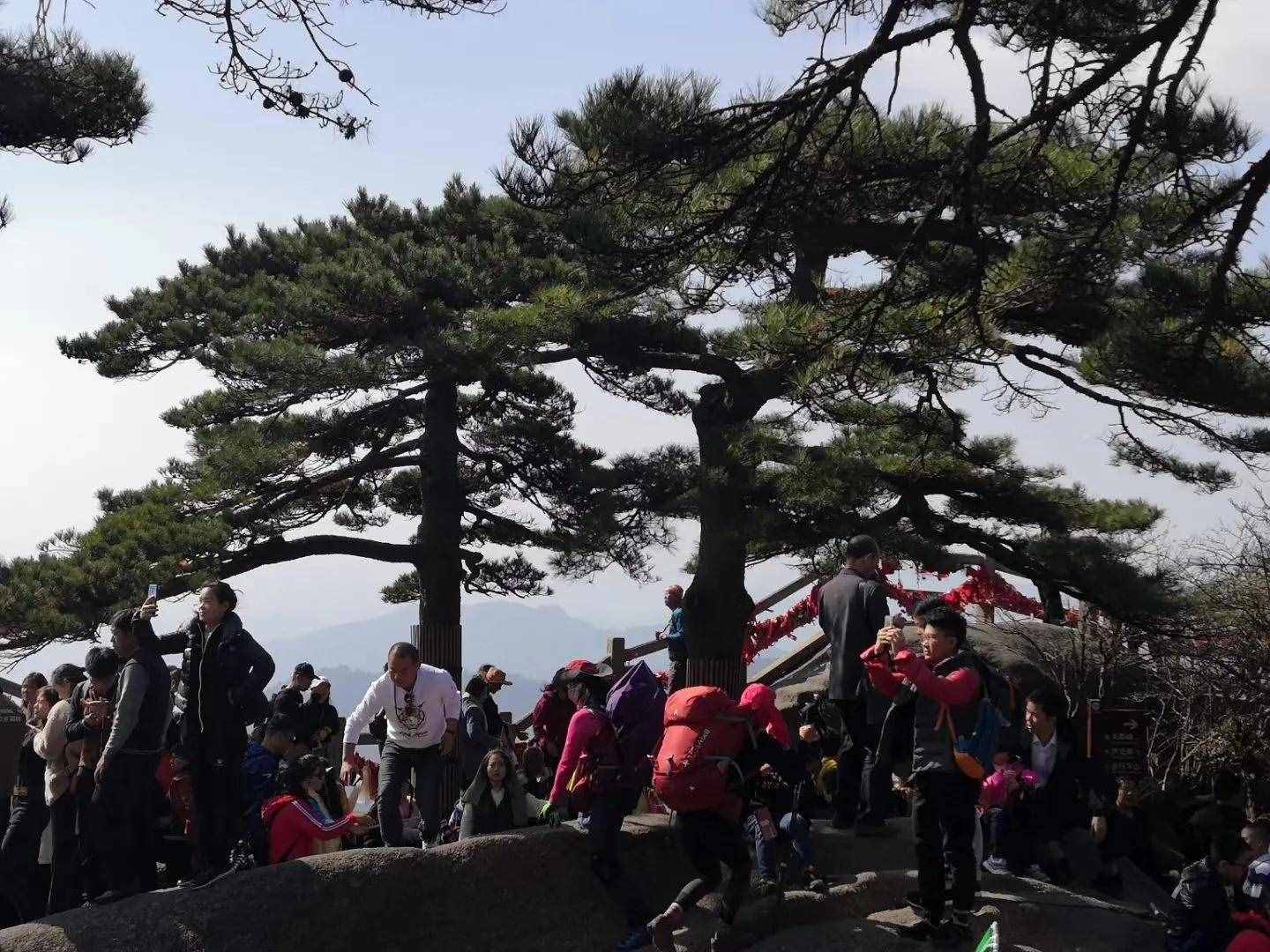 大美黃山奇松怪石