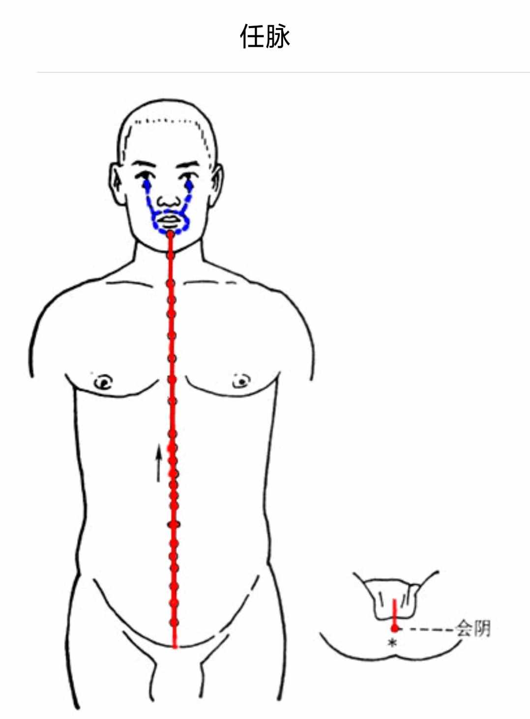 白話解讀“十四正經(jīng)”的循行路線