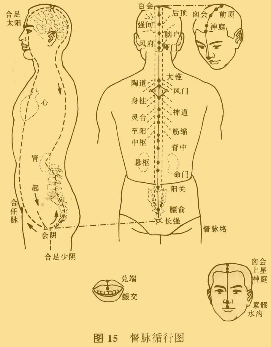 白話解讀“十四正經(jīng)”的循行路線
