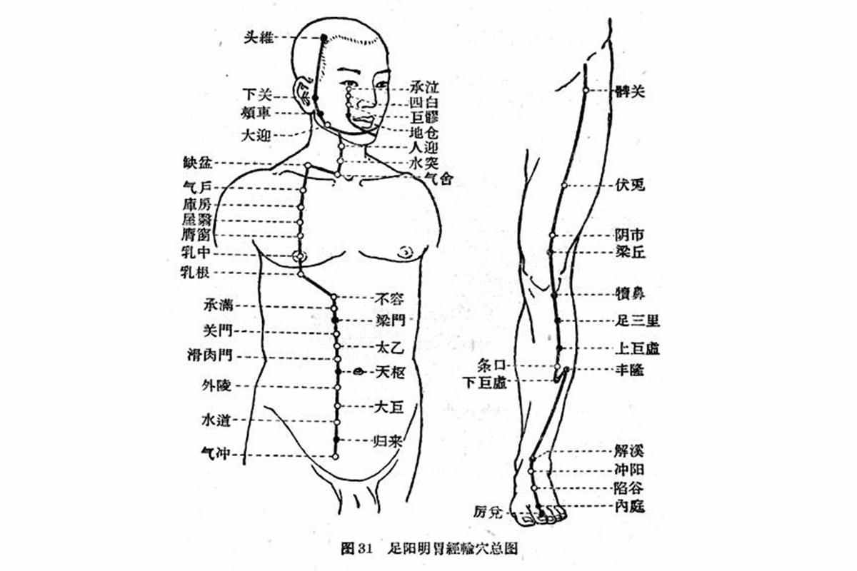白話解讀“十四正經(jīng)”的循行路線