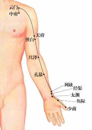 白話解讀“十四正經(jīng)”的循行路線