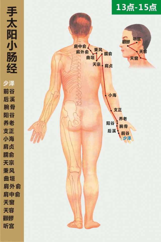 白話解讀“十四正經(jīng)”的循行路線