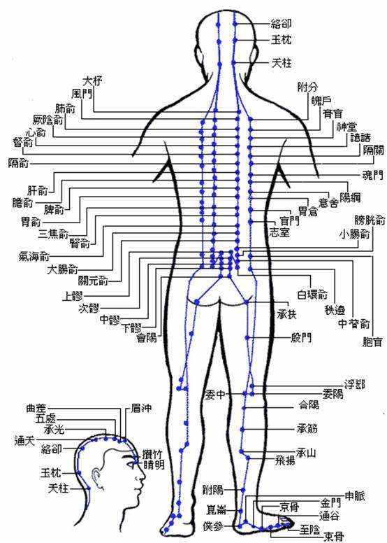 白話解讀“十四正經(jīng)”的循行路線