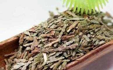 側(cè)柏葉的功效與作用 側(cè)柏葉酒的釀酒配方