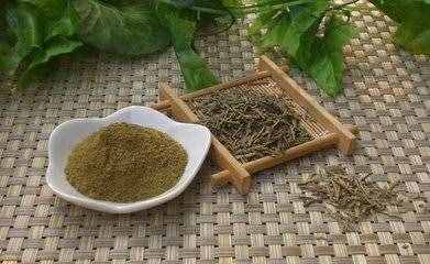 側(cè)柏葉的功效與作用 側(cè)柏葉酒的釀酒配方