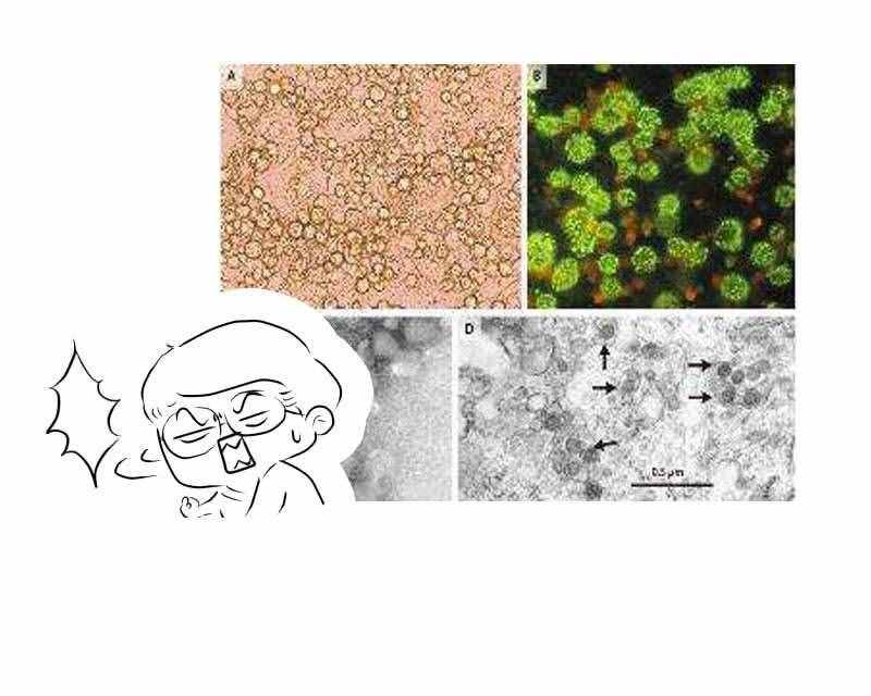 一到換季，為何皮膚就過(guò)敏？提醒：做好5件事，排在首位很重要